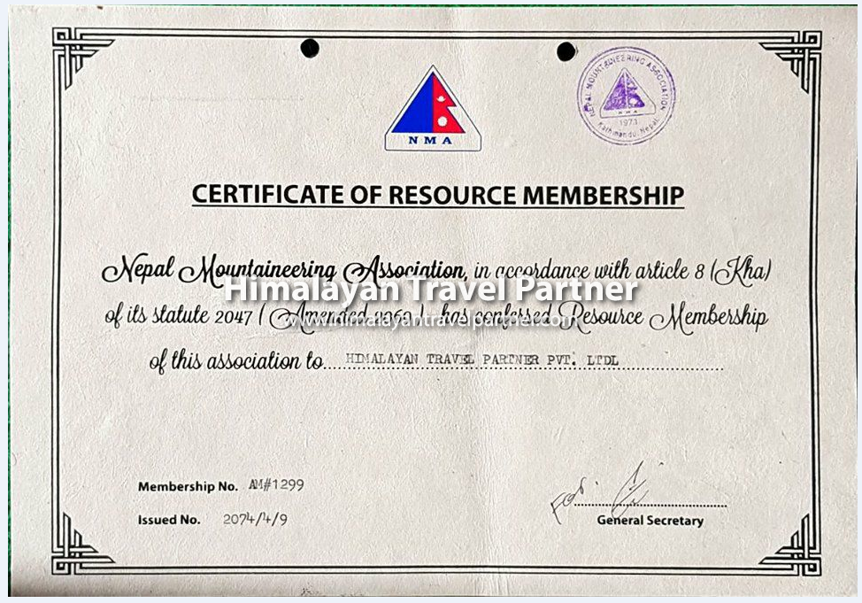 Company Registration