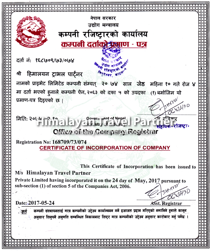 Company Registration